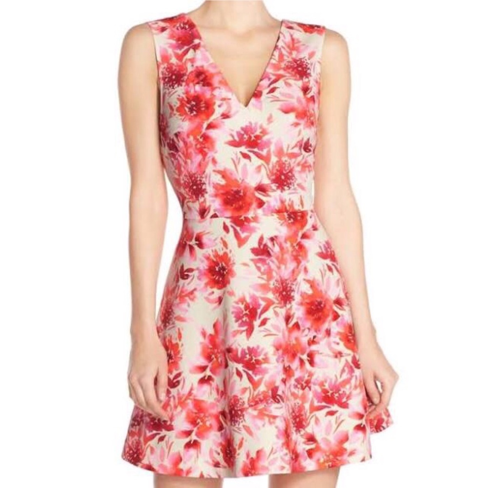 Felicity & Coco Pink Floral Fit and Flare Dress